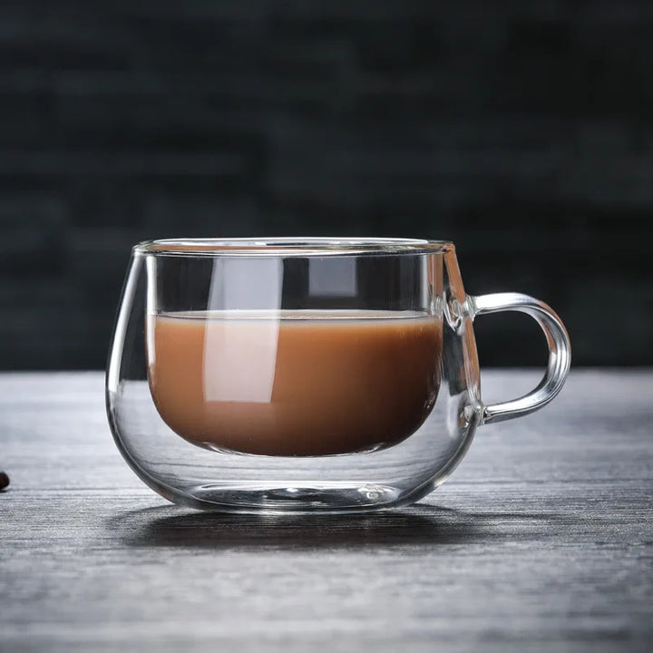 Double Wall Borosilicate Glass Mug